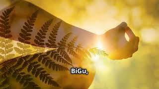 BiGu (辟谷) Part 1: Beyond Fasting_A Journey to Cosmic Energy \u0026 Food Freedom