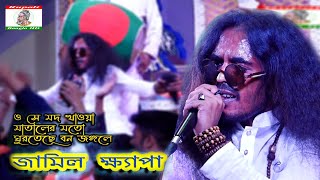 ও সে মদ খাওয়া মাতালের মতো | ঘুরতেছে বন জঙ্গলে | জামিল ক্ষ্যাপার গান | Jamil khapa | Hit lalon song