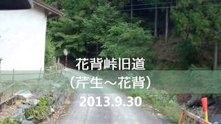 花背峠旧道