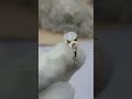 beautiful handmade milky quartz women ring 😍 rdgems quartz lapidary jewellery howto gemstone