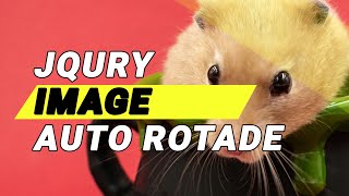 How to image auto rotede animation Jquery javascript