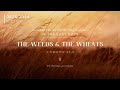 MGC English Serv. (06.10.24) -Characteristics of The Church n The Last Days: The Weeds &The Wheats