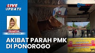 9 Pasar Hewan di Ponorogo Tutup 2 Pekan Imbas Ratusan Sapi Terpapar PMK, Upaya Cegah Penyebaran