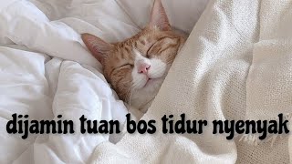 Lagu pengantar tidur tuan bos