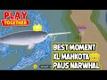 mancing ikan langka besar best momen paus narwhal mahkota play together