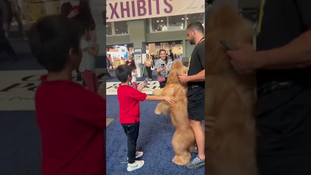 People reacting to my giant fluffy dog! #reaction #dogdad #goldendoodle
