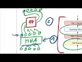 switch transformers scaling to trillion parameter models with simple and efficient sparsity