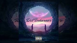 Dil Bekaraar | Hamza Sandhu |(official music audio)