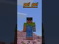 Poi poi in cherry grove #flixxy #minecraftminecraftminecraft