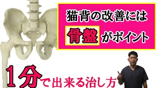 【猫背解消】1分で出来るストレッチ＆筋トレ