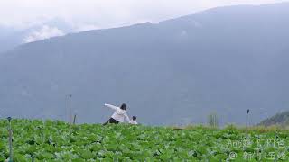 新竹五峰夢幻山景