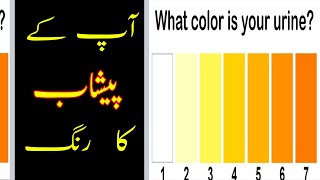Urine Color Test I Paishab Ka Rung Safaid Ya Peela Hai