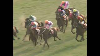 ナリタトップロード 2001年 第94回京都記念(GII) (優勝馬：マックロウ)