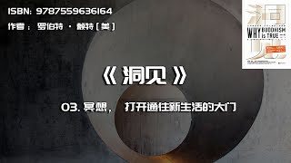 全书精讲---《洞见》03：冥想，打开通往新生活的大门