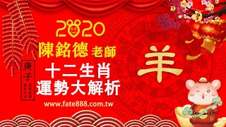 陳銘德老師2020庚子金鼠年12生肖運勢大解析_羊