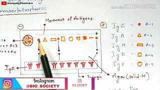 Immunoelectrophoresis | Immunotechnology | By phanindra gupta | Bio science