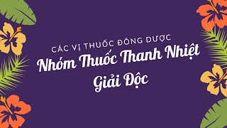 Các Vị Thuốc Đông Dược | Nhóm Thuốc Thanh Nhiệt Giải Độc