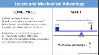 Levers and Mechanical Advantage (song)