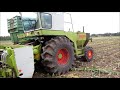 maishäckseln claas jaguar 80 sf mit 6 reihig maisgebiss sound