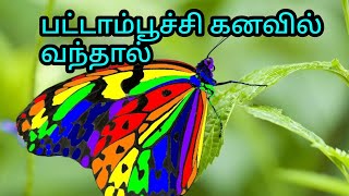 பட்டாம்பூச்சி கனவில் வந்தால் என்ன பலன் | வண்ணத்துப்பூச்சிகள் கனவு| Butterfly kanavu in Tamil |kanavu