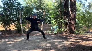 Baji Quan Basic Concept: Ding Xing Zhou — Slapping and Grinding Stamping