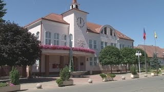 Velké Pavlovice, město vína, meruněk a folklóru