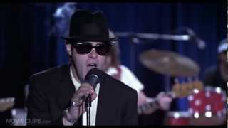 The Blues Brothers 1980 - 100th Anniversary Classic Moments Hd