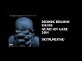 Breaking Benjamin - Believe [Custom Instrumental]