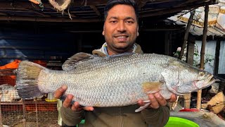 4.5 KG দেশি ভেটকি মাছ মাংসের মত রান্না করে খেলাম || Bhetki fish recipe in bengali || Village food