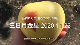 三日月金星/青森のりんごの品種を食べ比べ【弘前りんご日記YouTube版・番外編】