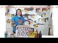 review your blg m16 gel blaster and unboxing the mystery boxes here we go