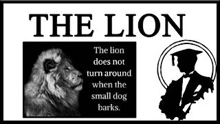 The Lion Does Not Concern Itself