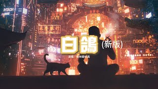 希林娜依高 - 白鴿(新版)『教堂的白鴿不會親吻烏鴉，就像我配不上星空下的他，時間怎麼就走到了晚霞，我們笑著說沒有辦法。』【動態歌詞MV】