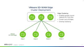 VMware SD WAN Components – SD WAN Edges