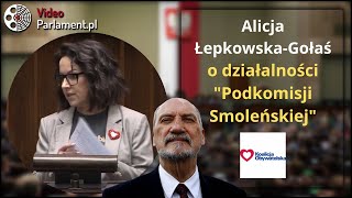 Alicja Łepkowska-Gołaś -  Informacja o działalności \