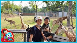 น้องบีม | ยีราฟคอยาว เที่ยวราชบุรี สวนผึ้งไฮแลนด์ Zoo Animals