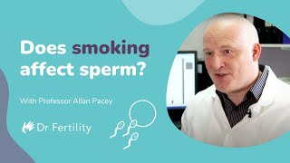 Does Smoking Affect Sperm? | #spermbanter | Dr Fertility