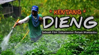 KENTANG DIENG, NASIBMU KINI 😭• FILM DOKUMENTER PETANI • FILM PENDEK PETANI • PETANI KENTANG