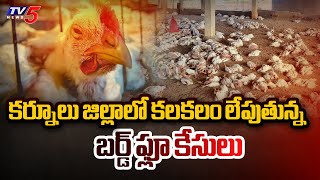 కర్నూలు జిల్లాలో బర్డ్ ఫ్లూ కేసులు.. Bird Flu Cases In Kurnool District | Red Alert |TV5 News