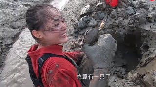 【漁妹趕海】渔妹带上工兵铲爆破螃蟹洞，挖几米深全抓出来，藏着的都是大家伙