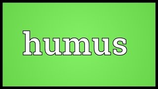 Humus Meaning