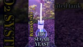 CO2 FERMANTED SYSTEM (mayalı karbondioksit sistemi) sugar + yeast