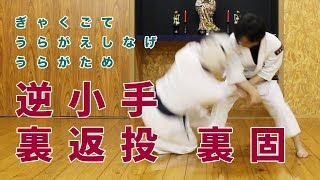 武道 格闘技 習い事　「 逆小手 裏返投 裏固 」　掛川市