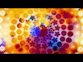 4k uhd screensaver 2 hours long flower hippie stuff circle of flowers with calming music