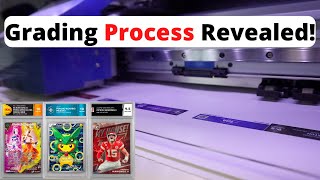 TGA Grading ALL ACCESS BEHIND THE SCENES 😱 - The Grading Authority