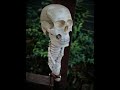 Skull Walking Stick Carving Episode 4