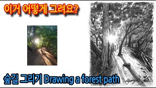 티노씨드로잉 [57강] 빛의 느낌을 표현하며 그리기(숲길)Drawing a forest path