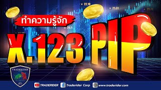 รู้จักกับ Pip ง่ายๆ ภายใน 3 นาที!