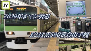 【山手線と言えばE231系？】E231系500番台山手線に乗ってきた。