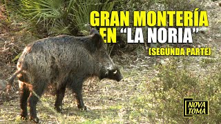 GRAN MONTERÍA EN LA NORIA (Parte 2)